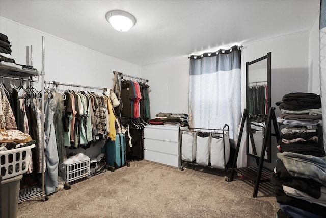 walk in closet featuring light carpet