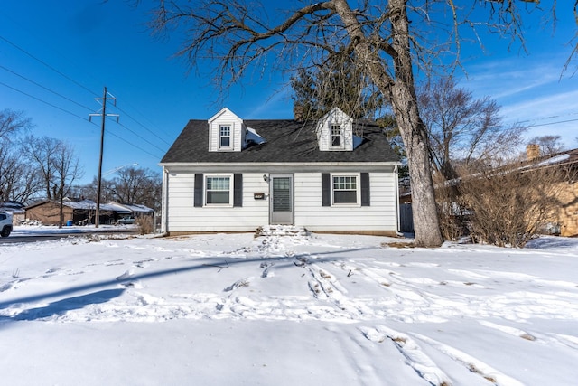 view of cape cod house