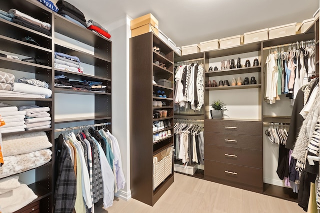 walk in closet featuring light hardwood / wood-style flooring