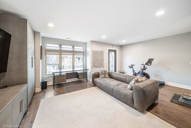 living room featuring wood-type flooring