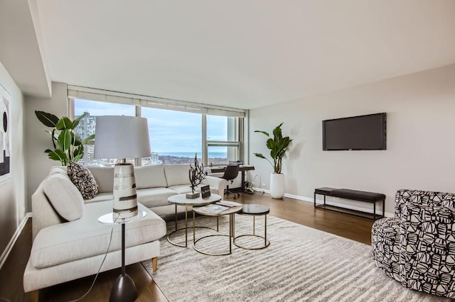 living area featuring wood finished floors and baseboards