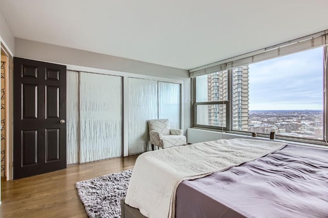 bedroom with a view of city, wood finished floors, and multiple closets