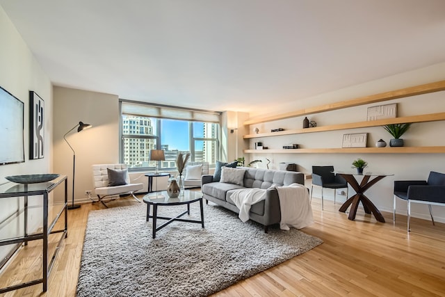 living room with light hardwood / wood-style floors