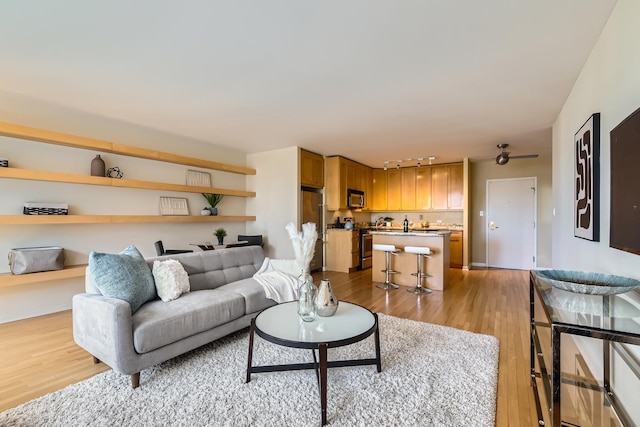 living room with rail lighting and light wood-type flooring