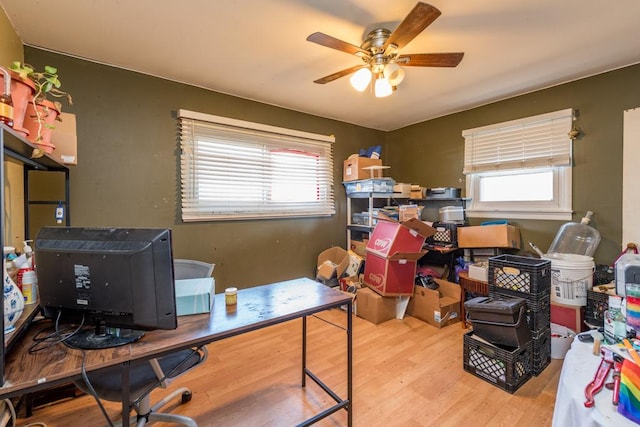 home office featuring ceiling fan and light wood-type flooring