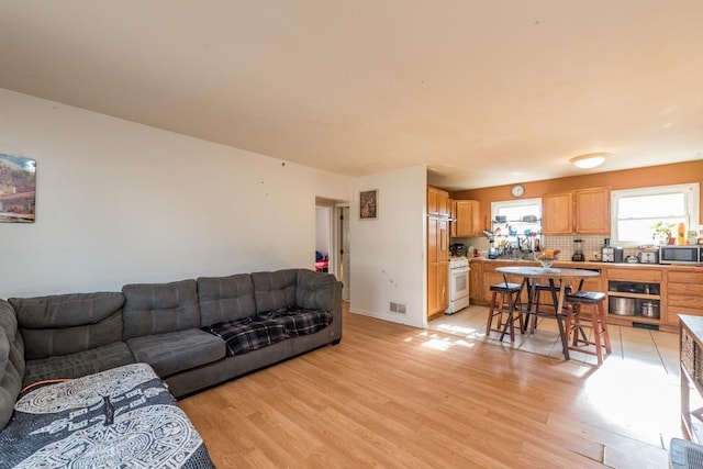 living room with light hardwood / wood-style flooring