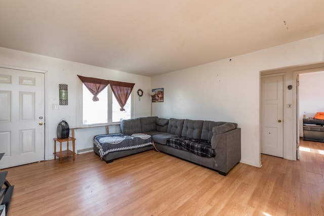 living room with light wood-type flooring