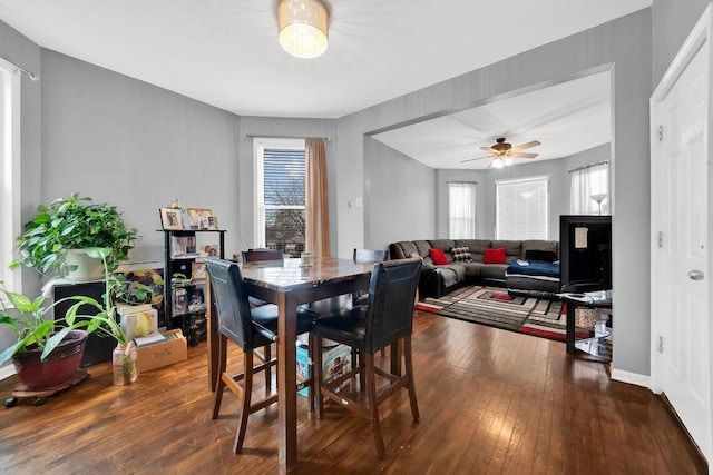 dining space with a wealth of natural light, hardwood / wood-style floors, and ceiling fan