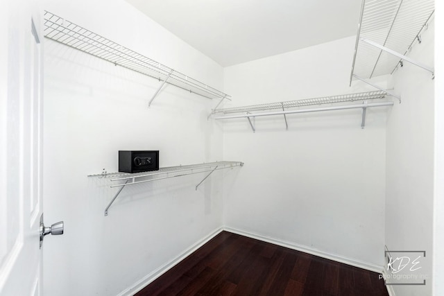 spacious closet featuring hardwood / wood-style floors