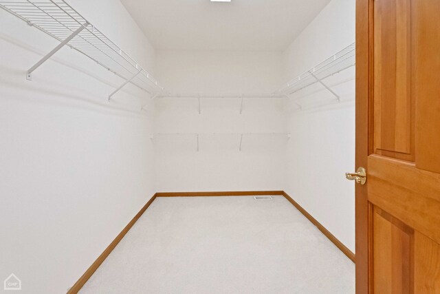 spacious closet featuring carpet floors