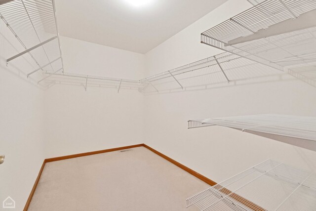 walk in closet featuring carpet flooring