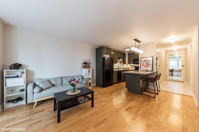 living room featuring light hardwood / wood-style flooring