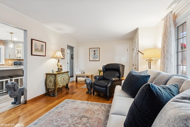 living room featuring crown molding and wood-type flooring