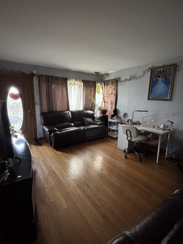 living room featuring hardwood / wood-style floors