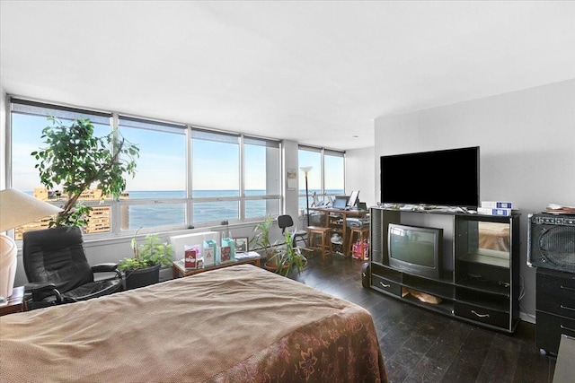 bedroom with dark hardwood / wood-style floors