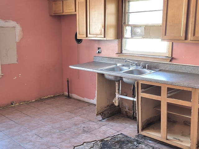 kitchen with sink