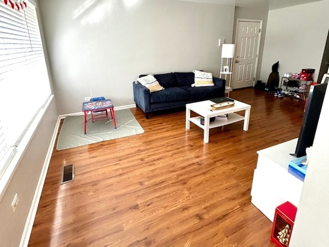 living room featuring hardwood / wood-style floors