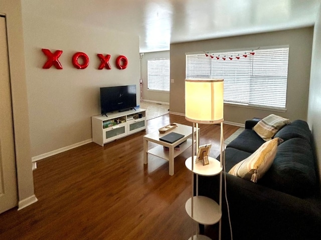 living room featuring dark wood-type flooring