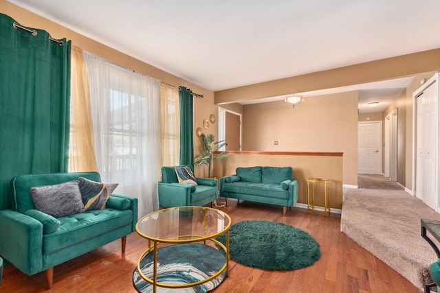 living room featuring wood-type flooring