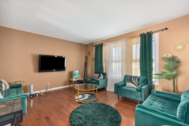 living room featuring wood-type flooring