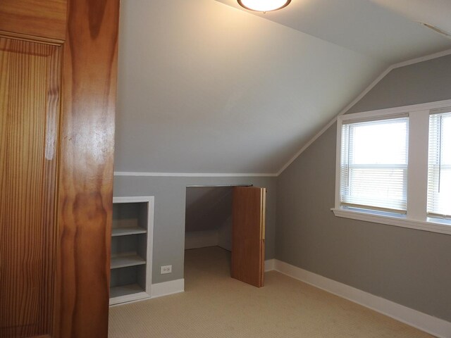 additional living space featuring lofted ceiling and light colored carpet