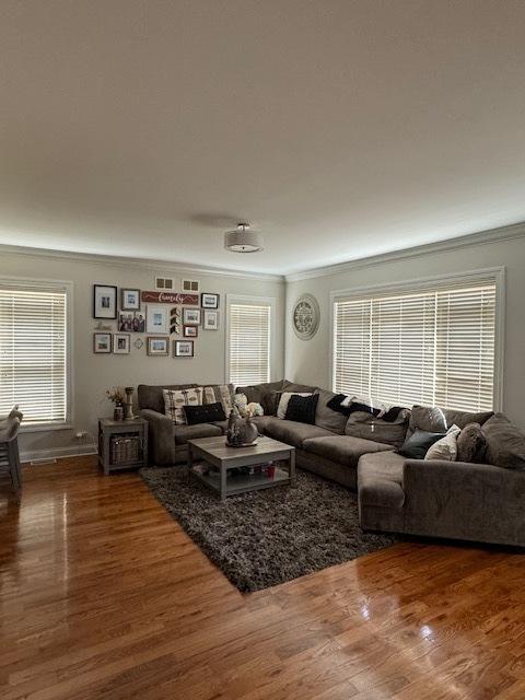 living room featuring hardwood / wood-style flooring and ornamental molding