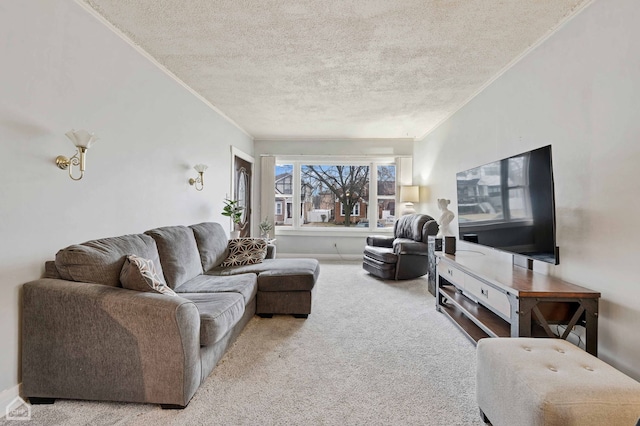 living area with crown molding, a textured ceiling, and carpet flooring