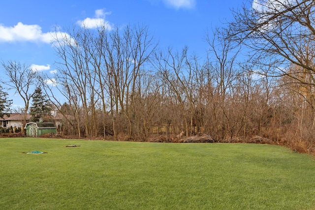 view of yard featuring a storage unit