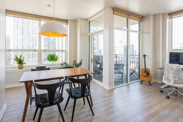 dining space featuring light hardwood / wood-style floors and expansive windows