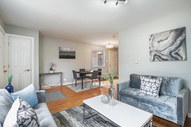 living room with dark hardwood / wood-style floors