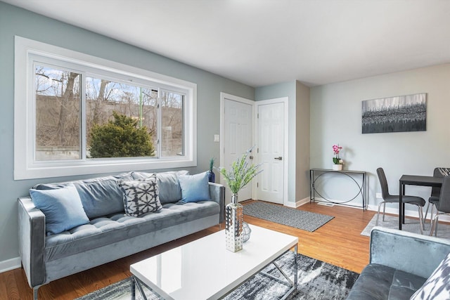 living room featuring hardwood / wood-style flooring