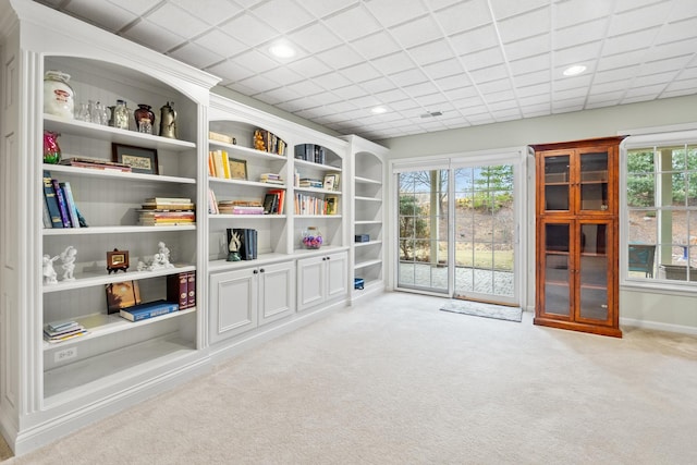 recreation room featuring light carpet