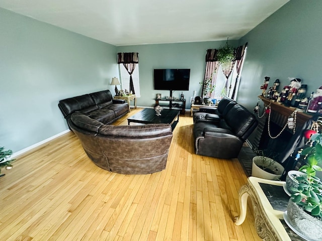 living room featuring light hardwood / wood-style flooring