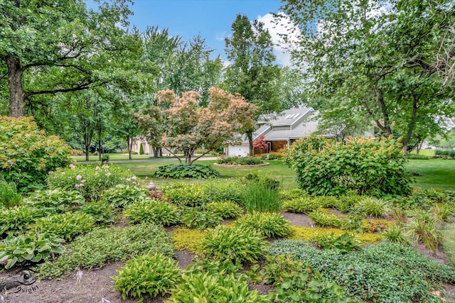 view of yard featuring a garage