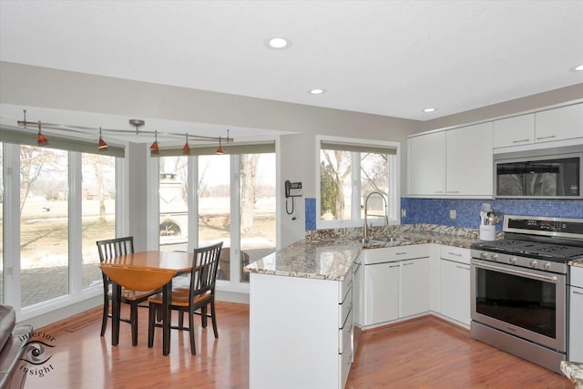 kitchen featuring decorative backsplash, appliances with stainless steel finishes, wood finished floors, a peninsula, and a sink