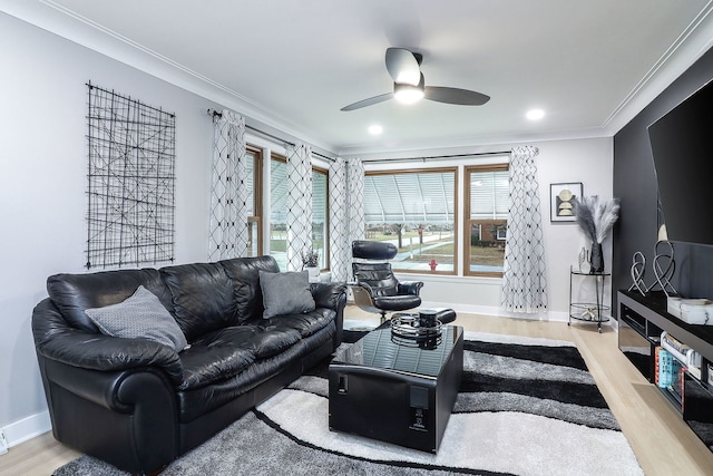 living room featuring ornamental molding, ceiling fan, and light hardwood / wood-style floors