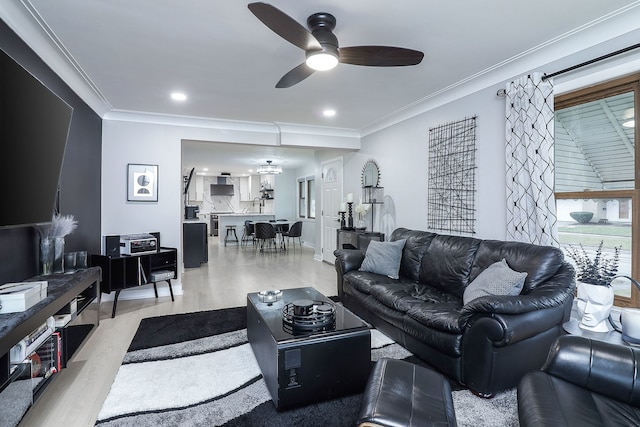 living room featuring crown molding, ceiling fan, and light wood-type flooring