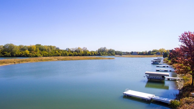 dock area featuring a water view