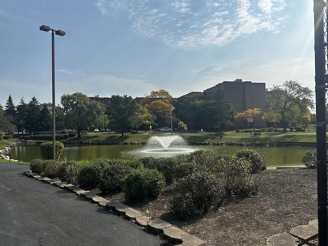 500 W Huntington Commons Rd Unit 152, Mount Prospect, IL 60056 - view of home's community with a water view