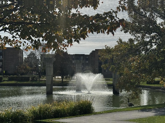 500 W Huntington Commons Rd Unit 152, Mount Prospect, IL 60056 - view of community featuring a water view