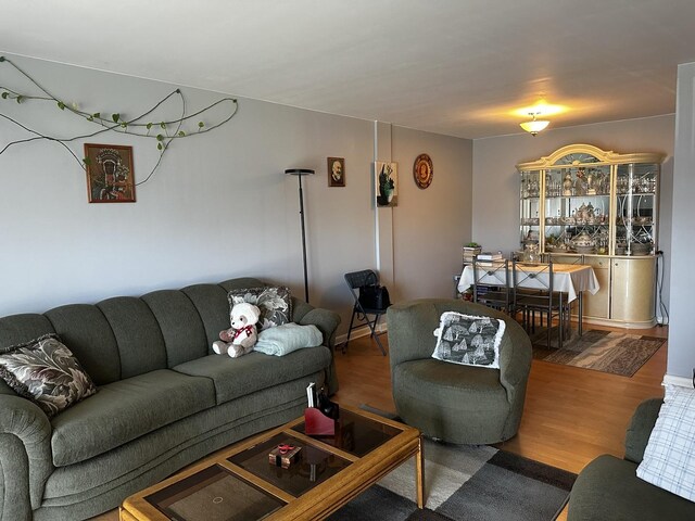 500 W Huntington Commons Rd Unit 152, Mount Prospect, IL 60056 - living area with wood finished floors