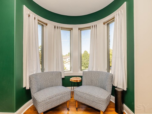 living area with wood-type flooring