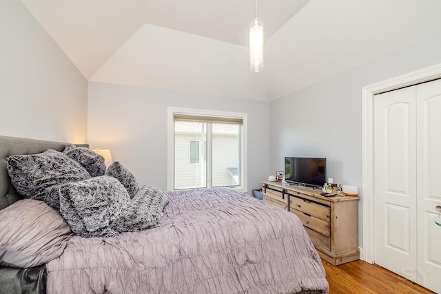 bedroom with lofted ceiling and wood-type flooring