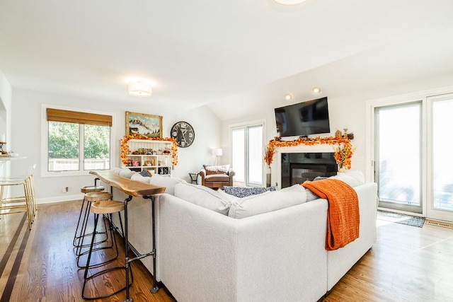 living room with lofted ceiling and wood-type flooring