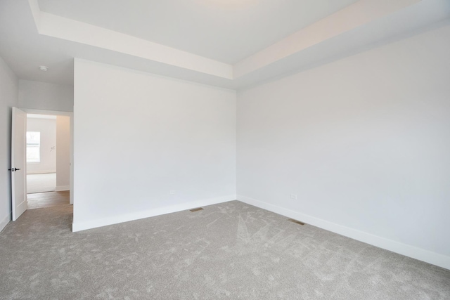 spare room featuring carpet floors and a raised ceiling