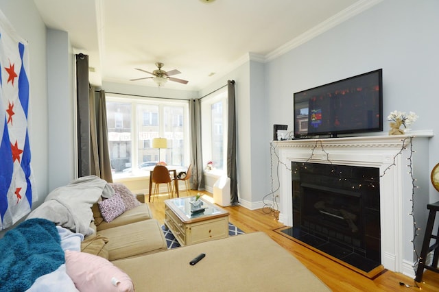 living room featuring ceiling fan, ornamental molding, and light hardwood / wood-style floors