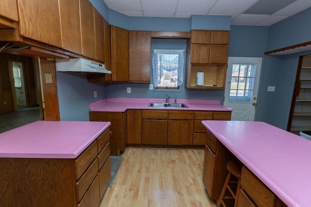 kitchen featuring a drop ceiling, sink, and light wood-type flooring