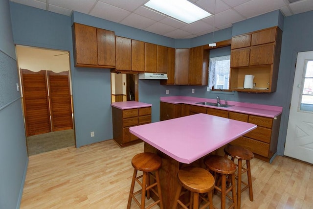 kitchen with a drop ceiling, sink, a kitchen island, and light hardwood / wood-style flooring