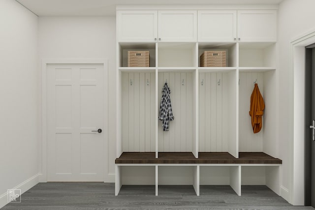 mudroom featuring dark wood-type flooring