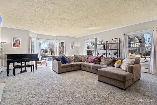 carpeted living room with crown molding, a baseboard radiator, and a textured ceiling